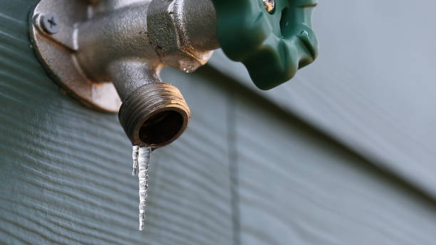 Best Plumbing Services Near Me  in Centennial, CO